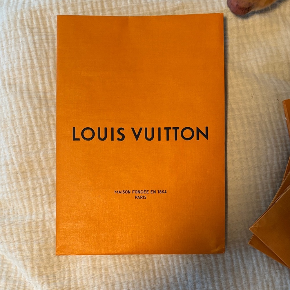 Louis Vuitton shopping bag